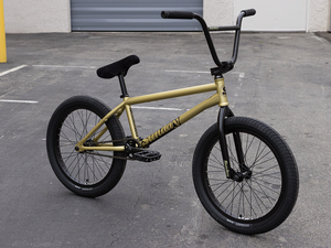 SUNDAY FORECASTER - BROC RAIFORD MATT GOLD 21"TT RHD