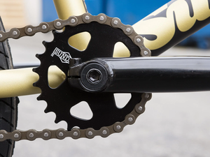 SUNDAY FORECASTER - BROC RAIFORD MATT GOLD 21"TT RHD