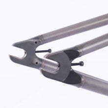CULT SHORTY V2 FRAME - 21" - RAW - KILLIAN ROTH