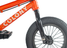 COLONY HORIZON 12" - CLEAR ORANGE