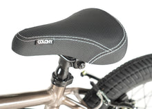 COLONY HORIZON 14" - CLEAR BLACK