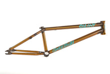 COLONY SWEET TOOTH FRAME 20.7 - CLEAR GOLD