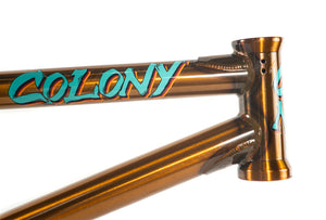 COLONY SWEET TOOTH FRAME 20.7 - CLEAR GOLD