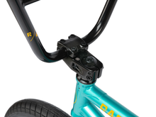 RADIO DARKO - 20.5" TT - NEPTUNE GREEN