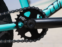 SUNDAY PRIMER 16"