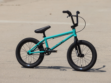 SUNDAY PRIMER 16"