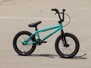 SUNDAY PRIMER 16"