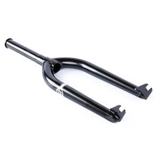 FEDERAL SESSION FORKS