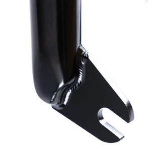 FEDERAL SESSION FORKS