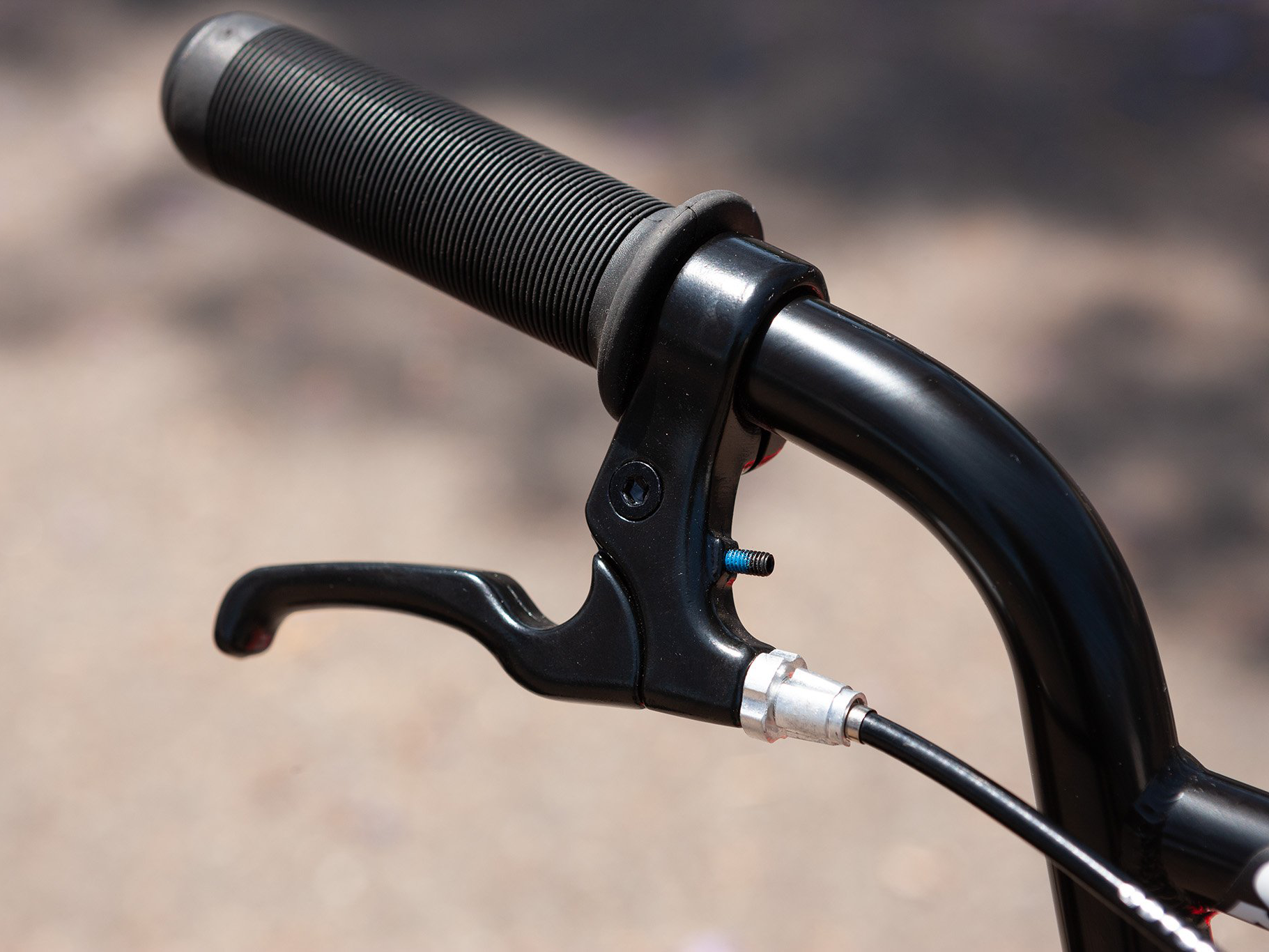 Sunday primer online 16