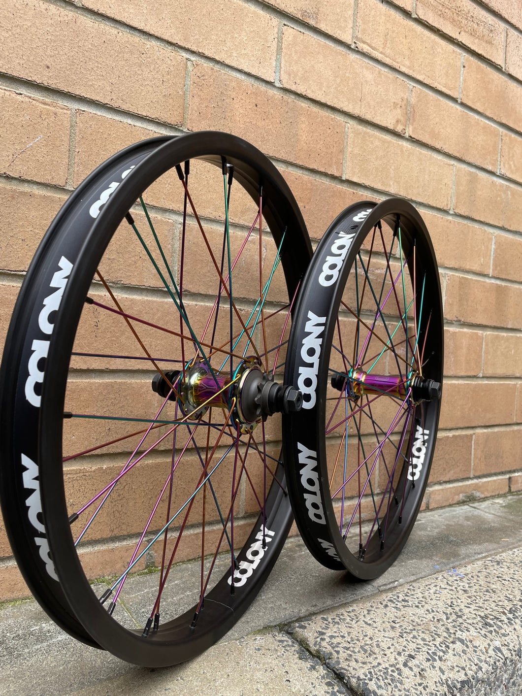 Colony rainbow outlet spokes